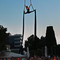 thkncr aerial