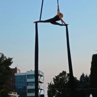 thkncr aerial